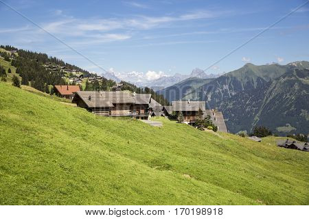 Wooden Swiss chalets in bucolic green summer alpine landscape Swiss Alps mountain massif canton du Valais Switzerland