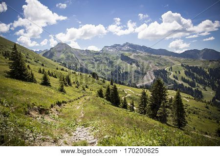 Bucolic green summer alpine landscape Swiss Alps mountain massif canton du Valais Switzerland