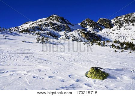 Winter landscape in National Park Retezat, Romania, Europe