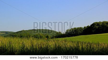 Hilly horizon whith blue sky, without clouds