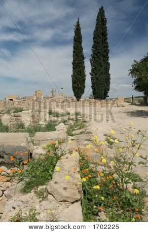 Volubilis