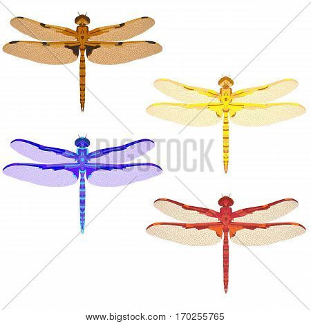 multicolored mosaic set with dragonflies. isolated. vector illustration.