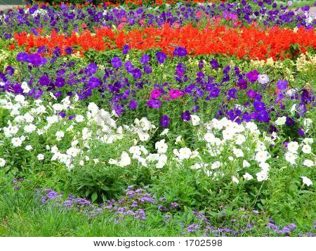 Blumenbeet