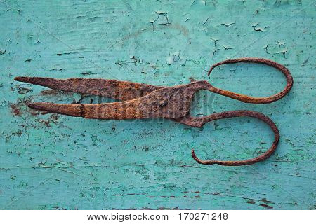 Old rust scissor on green painted background closeup