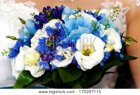 Beautiful wedding blue and white flowers in hands of bride in wedding day