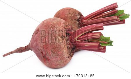 Closeup of Fresh Beet over white background
