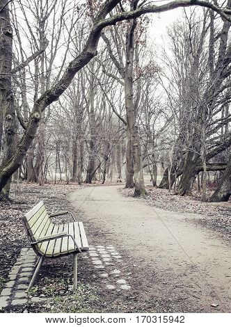 Lonely old wooden bench outdoor in Brunevang Rodovre Denmark