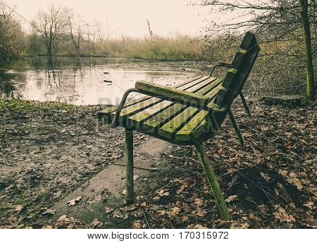 Lonely old wooden bench beside a marshland in Brunevang Rodovre Denmark