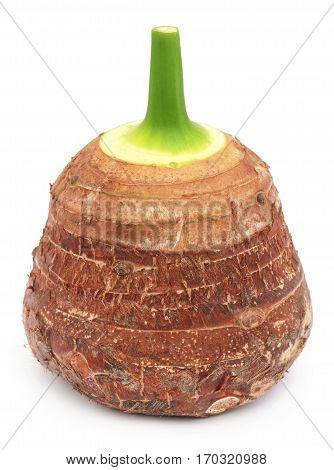 Edible root of colocasia over white background