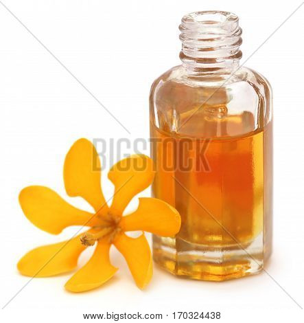 Gardenia coronata or Pinwheel Gardenia with essence in a bottle
