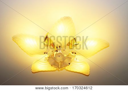 Ceiling lights is decorate house to luxury.