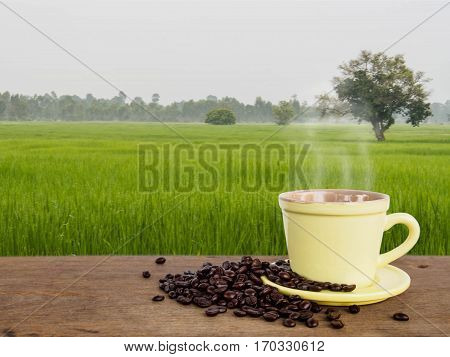 Coffee cup in morning of rice field background with copy space