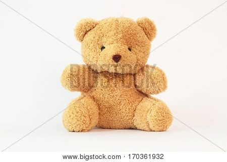 Brown teddy bear on a white background.