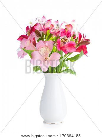 Bouquet of Alstroemeria flowers in  white porcelain vase isolated on white background.