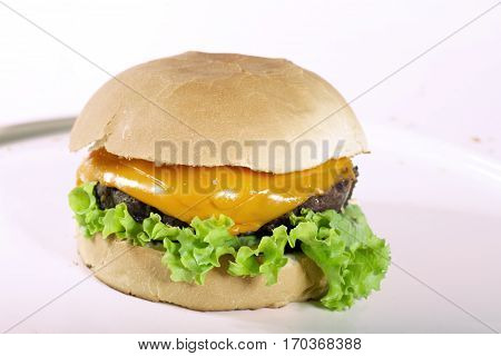 cheese salad hamburger fast-food alone beef food
