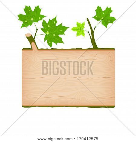 Natural textured maple wooden rectangular signboard with green leaves and water drops vector illustration