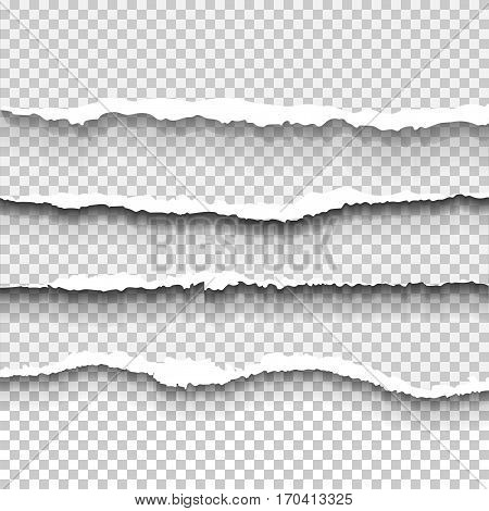 Transparent realistic ripped paper shadow set. Web banner. Element for advertising and promotional message isolated on transparent background. Abstract vector illustration for your design and business