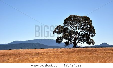 The Grampians range is majestic country in western Victorian Australia.