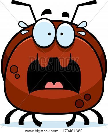 Scared Little Ant