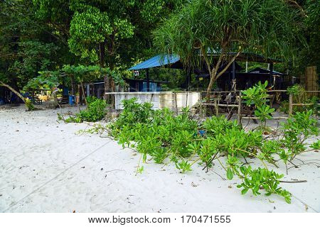 Monkey beach on Pinang Island, Malaysia, Asia