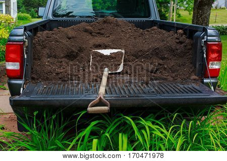 A truck load of compost ready to be shoveled off. 