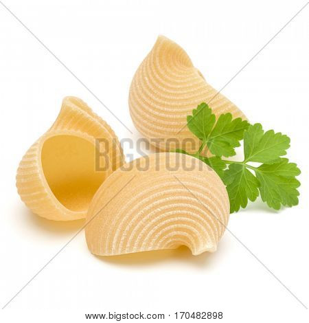 Italian lumaconi isolated on white background. Lumache, snailshell shaped pasta.