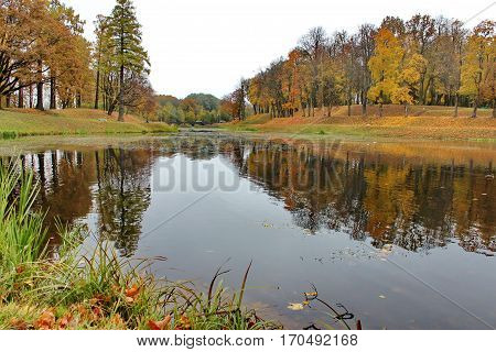 Beautiful romantic alley in a park with colorful trees and sunlight. autumn natural background Gatchina