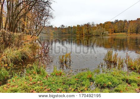 Beautiful romantic alley in a park with colorful trees and sunlight. autumn natural background Gatchina