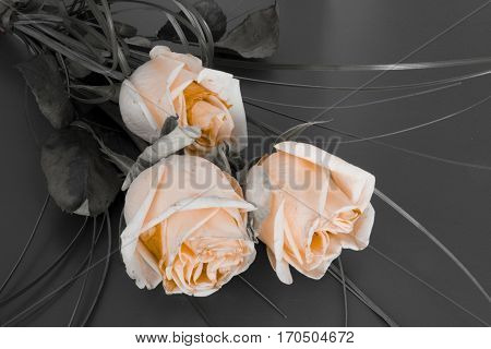 Roses - condolence card with deepest sympathy