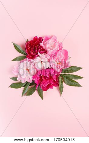 nice peonies