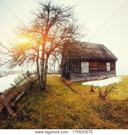 Wooden old house in the mountains and the sun that breaks through the tree in fog weather.