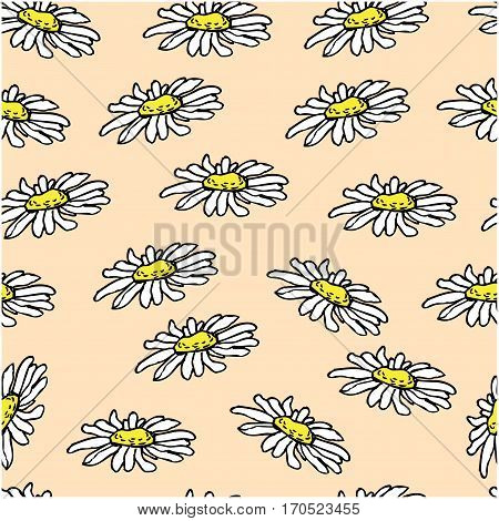 Beautiful white daisy flowers on pink background. Seamless pattern. Could be used for textile web design