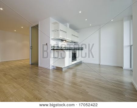 lujo moderno abierto plan monoambiente con piso de madera a lo largo de