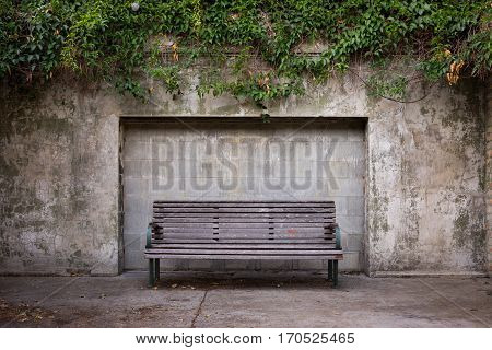 Bench seat against wall with vines overhead
