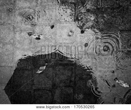 Reflection of umbrella in puddle with rain drops black and white