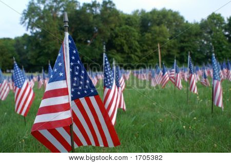 Memorial Day Flags