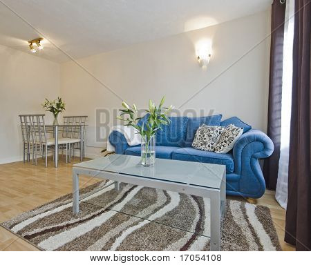 modern ingerichte woonkamer met eethoek