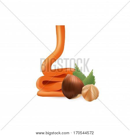 Hazelnut with liquid caramel. 3d Vector Illustration Isolated