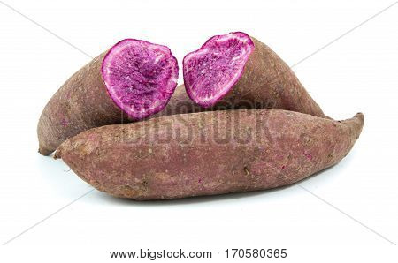 Tapioca Plants Cassava Closeup Isolated On White Background