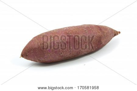 Tapioca Plants Cassava Closeup Isolated On White Background