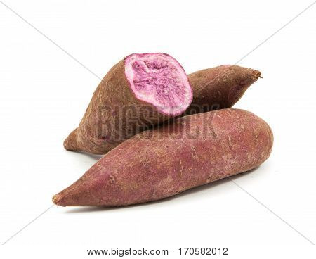 Tapioca Plants Cassava Closeup Isolated On White Background