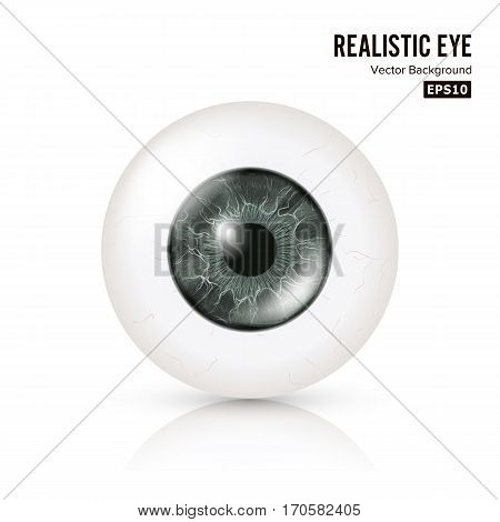 Eye Realistic. Vector Illustration Of 3d Human Glossy Photo Rrealistic Eye With Shadow And Reflection. Front View. Isolated On White Background.