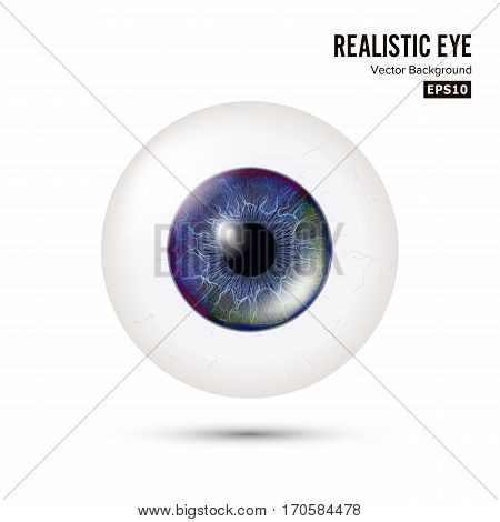 Realistic Human Eyeball. 3d Glossy Photorealistic Eye Detail With Shadow And Reflection. Isolated On White Background. Vector Illustration.