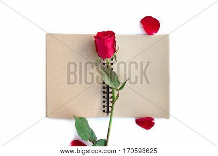 red rose with petals and brown notebook for valentine background isolated on white background