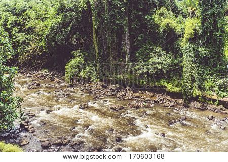 A river with rocks and big stream surrounding by trees and bushes photo taken in Kebun Raya Bogor Indonesia java