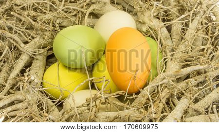 Colorful Easter eggs in nest from twigs