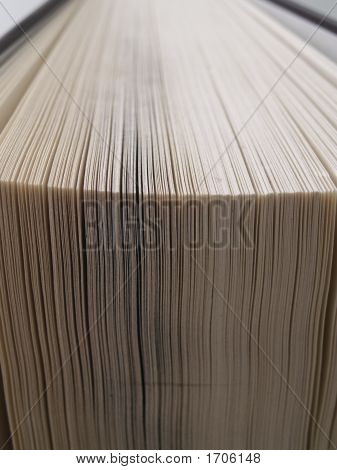 도 서
