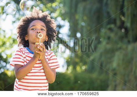 Portrait of boy making bubbles with bubble wand in a park