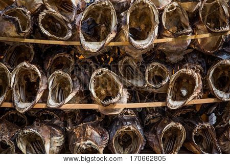 Fish shop Reine, Lofoten, Norway.