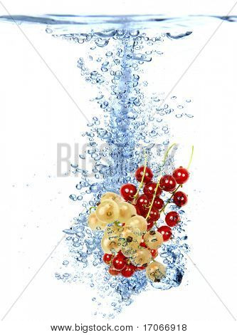 Currant สดหลุดลงไปในน้ำ